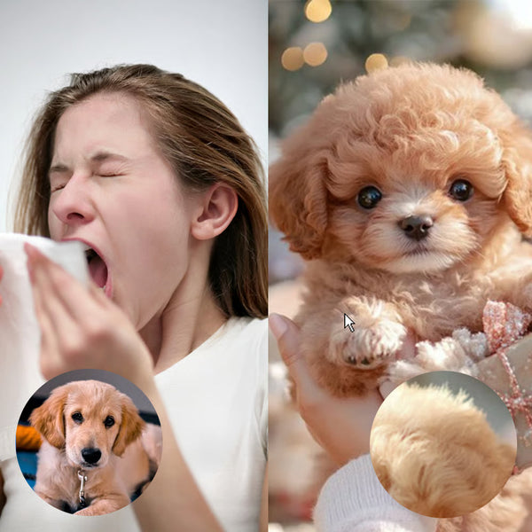 Mon chiot robot réaliste (1 ACHETÉ = 1 OFFERT)